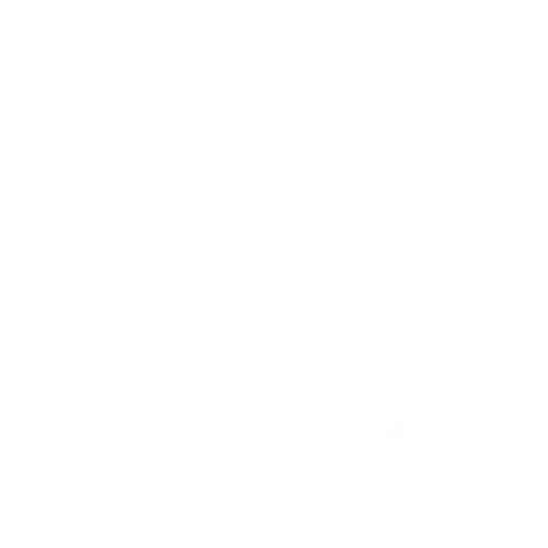TTF logo icon in white